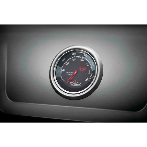 Napoleon Gasgrill Freestyle 365 SIB Graphit, Mit SIZZLE ZONE – Bild 12