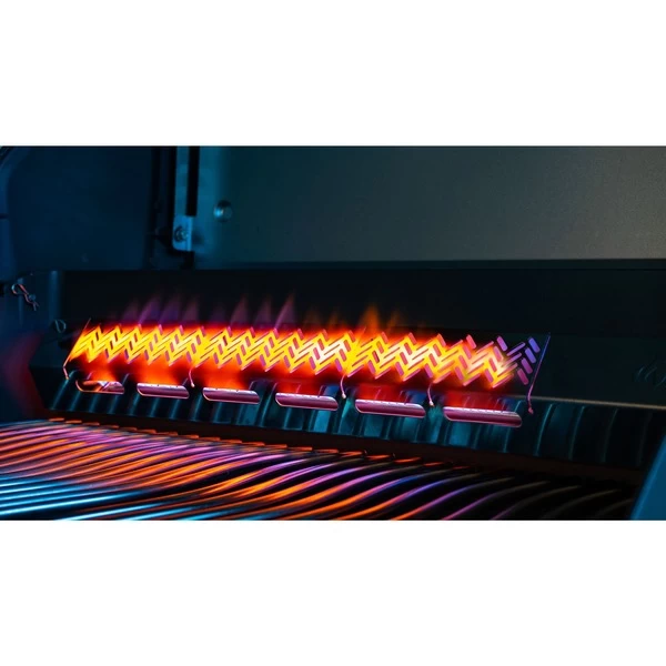 Napoleon Gasgrill Rogue SE 625 – Bild 12