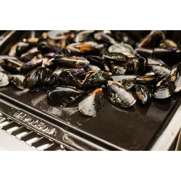 Napoleon Gusseisen-Plancha, Grillplatte – Bild 7