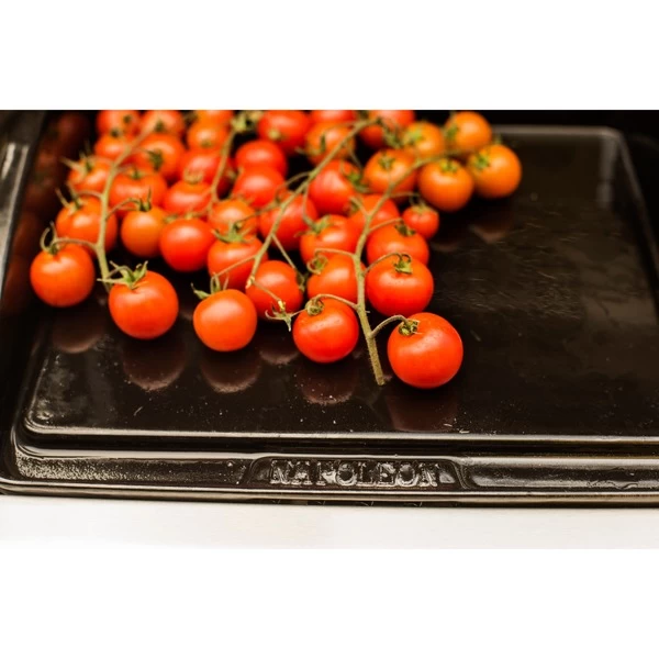 Napoleon Gusseisen-Plancha, Grillplatte – Bild 8