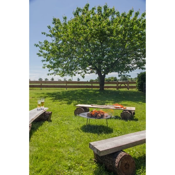 Petromax Grill- Und Feuerschale Fs56, Feuerstelle – Bild 11