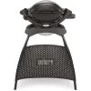 Weber Gasgrill Q 1000 Stand Black