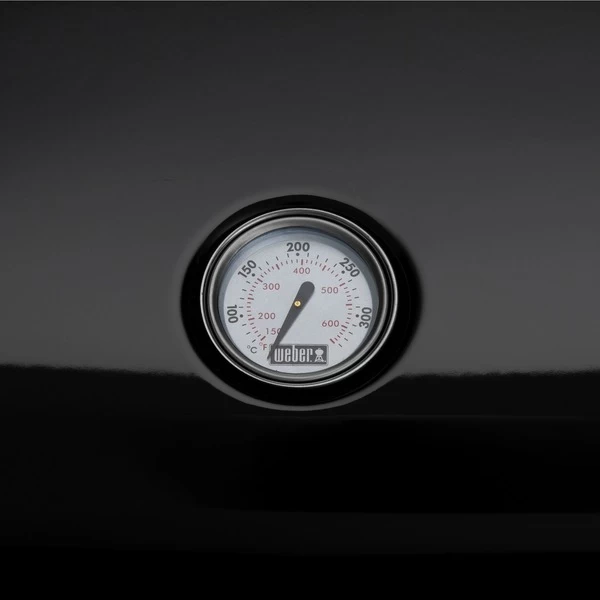 Weber Lumin Elektrogrill – Bild 5